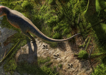 A T. Rex Walked Here: Teacher Finds Rare Footprints in North Dakota