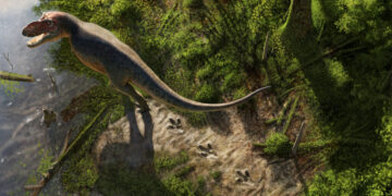 A T. Rex Walked Here: Teacher Finds Rare Footprints in North Dakota
