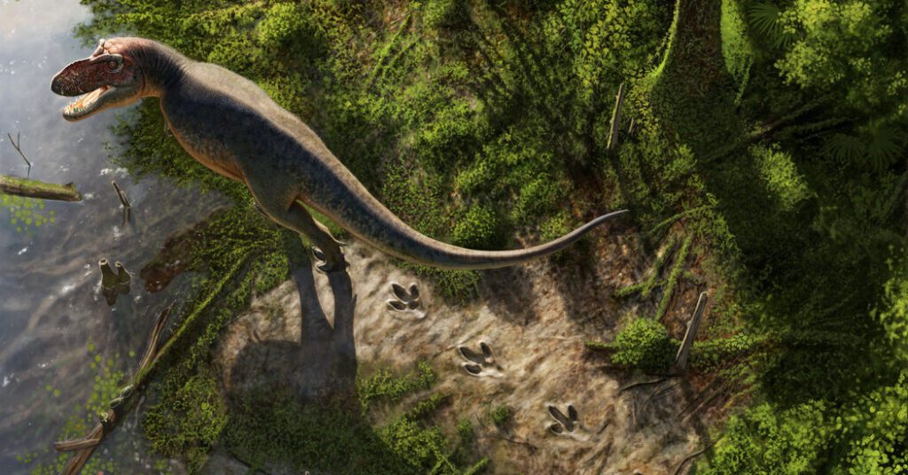 A T. Rex Walked Here: Teacher Finds Rare Footprints in North Dakota