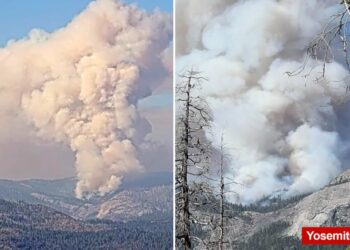 Fast-moving wildfire erupts in Yosemite National Park