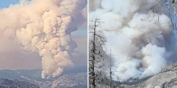 Fast-moving wildfire erupts in Yosemite National Park