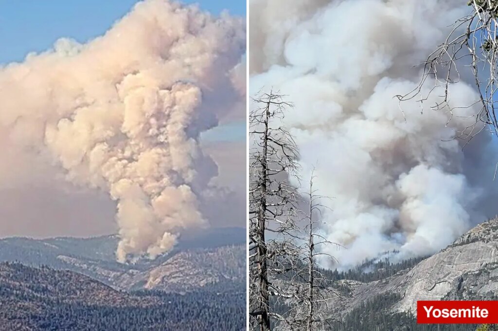 Fast-moving wildfire erupts in Yosemite National Park