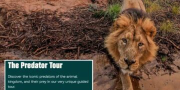 Zoo advertises ‘child predator tour’ in cringeworthy mistake: ‘Seems a bit dangerous’