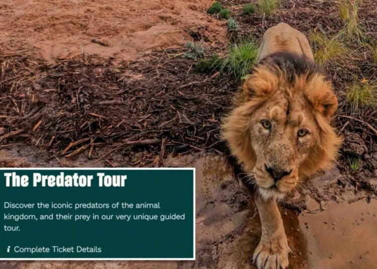 Zoo advertises ‘child predator tour’ in cringeworthy mistake: ‘Seems a bit dangerous’
