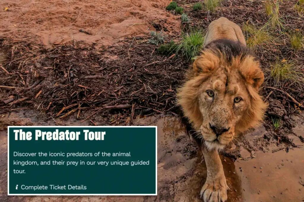 Zoo advertises ‘child predator tour’ in cringeworthy mistake: ‘Seems a bit dangerous’