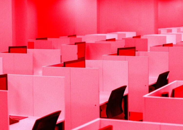 AI Really Is Eviscerating Entry-Level Jobs, New Data Shows