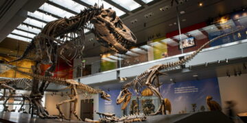 New evidence shows that you are only slightly hotter than a T. rex
