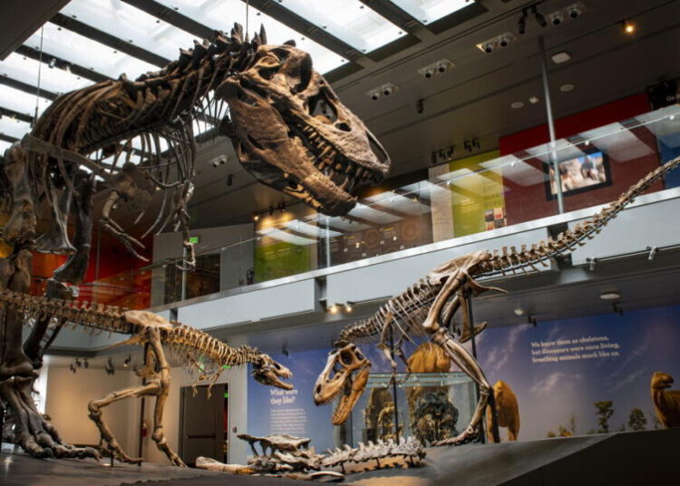 New evidence shows that you are only slightly hotter than a T. rex