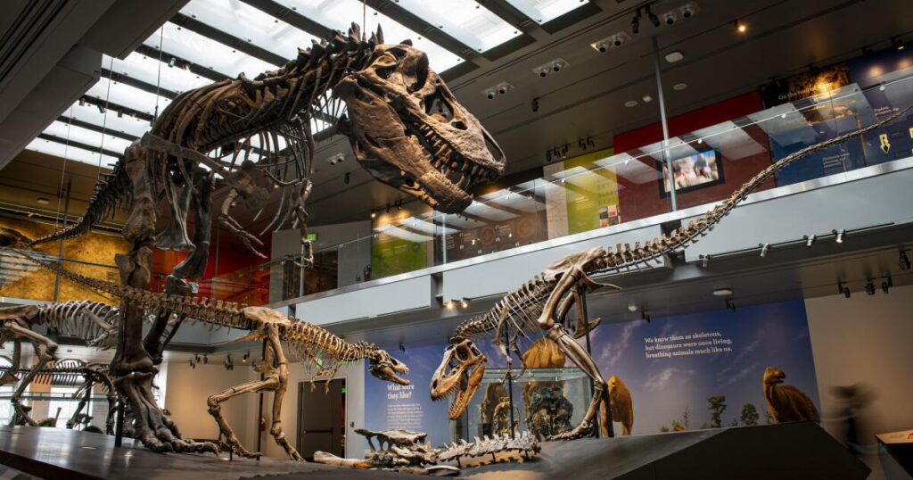 New evidence shows that you are only slightly hotter than a T. rex