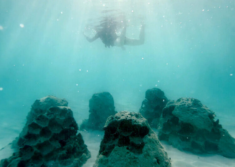 Rising Seas Are Gobbling Up Beaches Around the World. A.I. Might Restore Them.