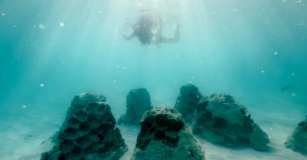 Rising Seas Are Gobbling Up Beaches Around the World. A.I. Might Restore Them.