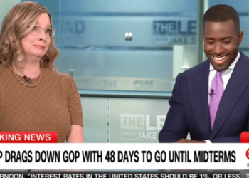 GOP strategist busts out laughing when asked about midterms: ‘Put me on the spot!’