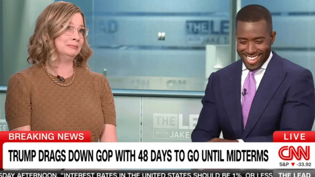 GOP strategist busts out laughing when asked about midterms: ‘Put me on the spot!’