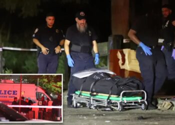 Woman’s body discovered in trash can near quiet NYC beach