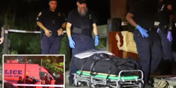 Woman’s body discovered in trash can near quiet NYC beach