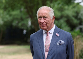 King Charles Meets With A.I. Executives About Safety Risks