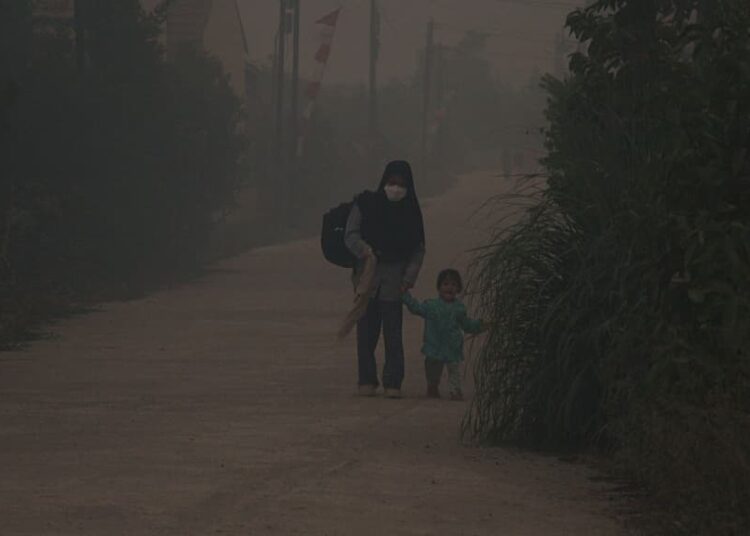 Why Southeast Asia Is Facing a Haze Crisis