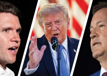 How Trump Helped Put a Texas Senate Seat In Play