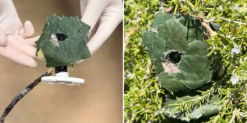 Insidious device found near SoCal home as cops issue urgent warning