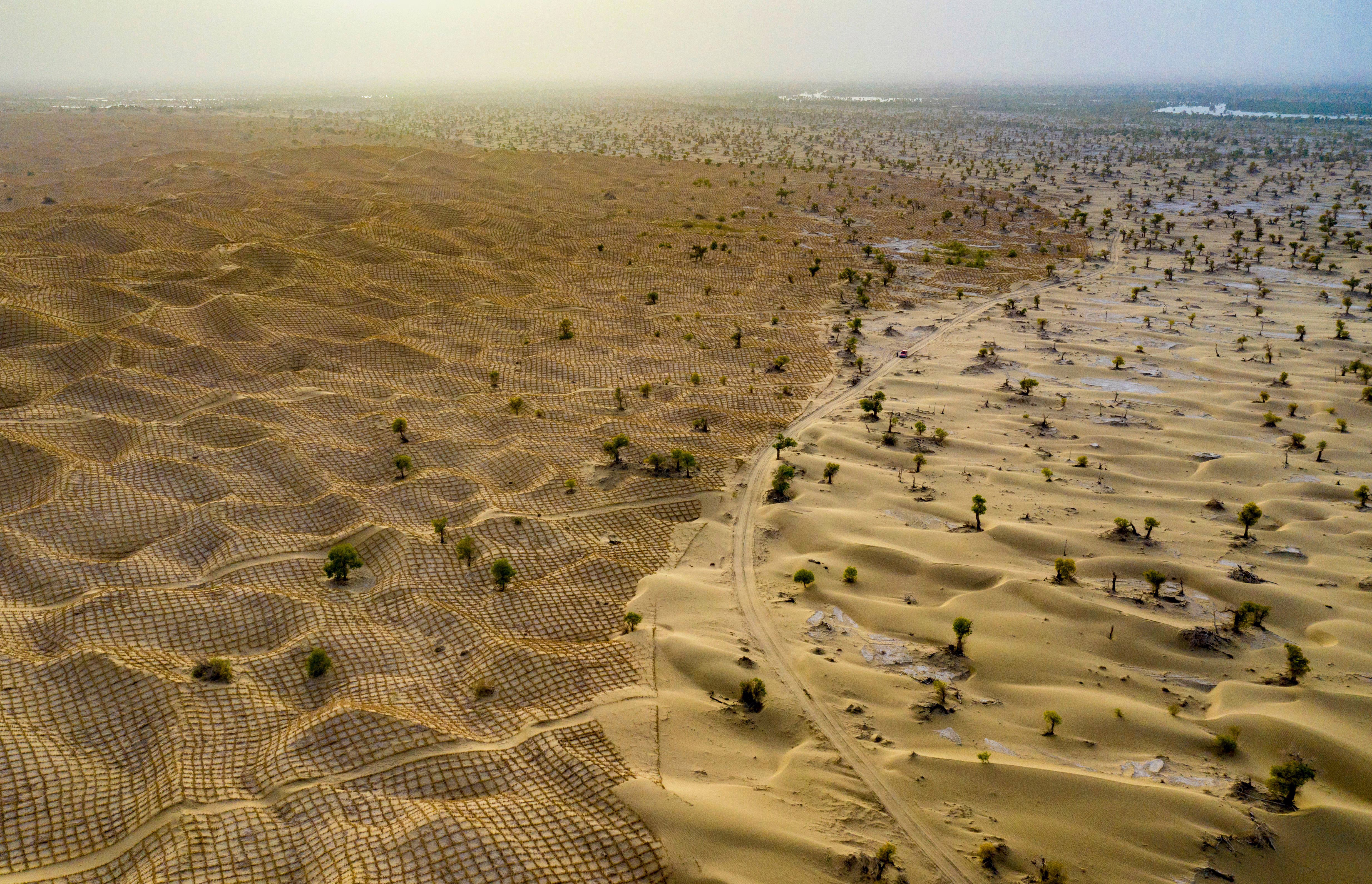 A drone photo of a road passing through sand dunes in a desert, the left side of the photo shows most dunes covered by a criss-cross pattern of straw windbreaks.