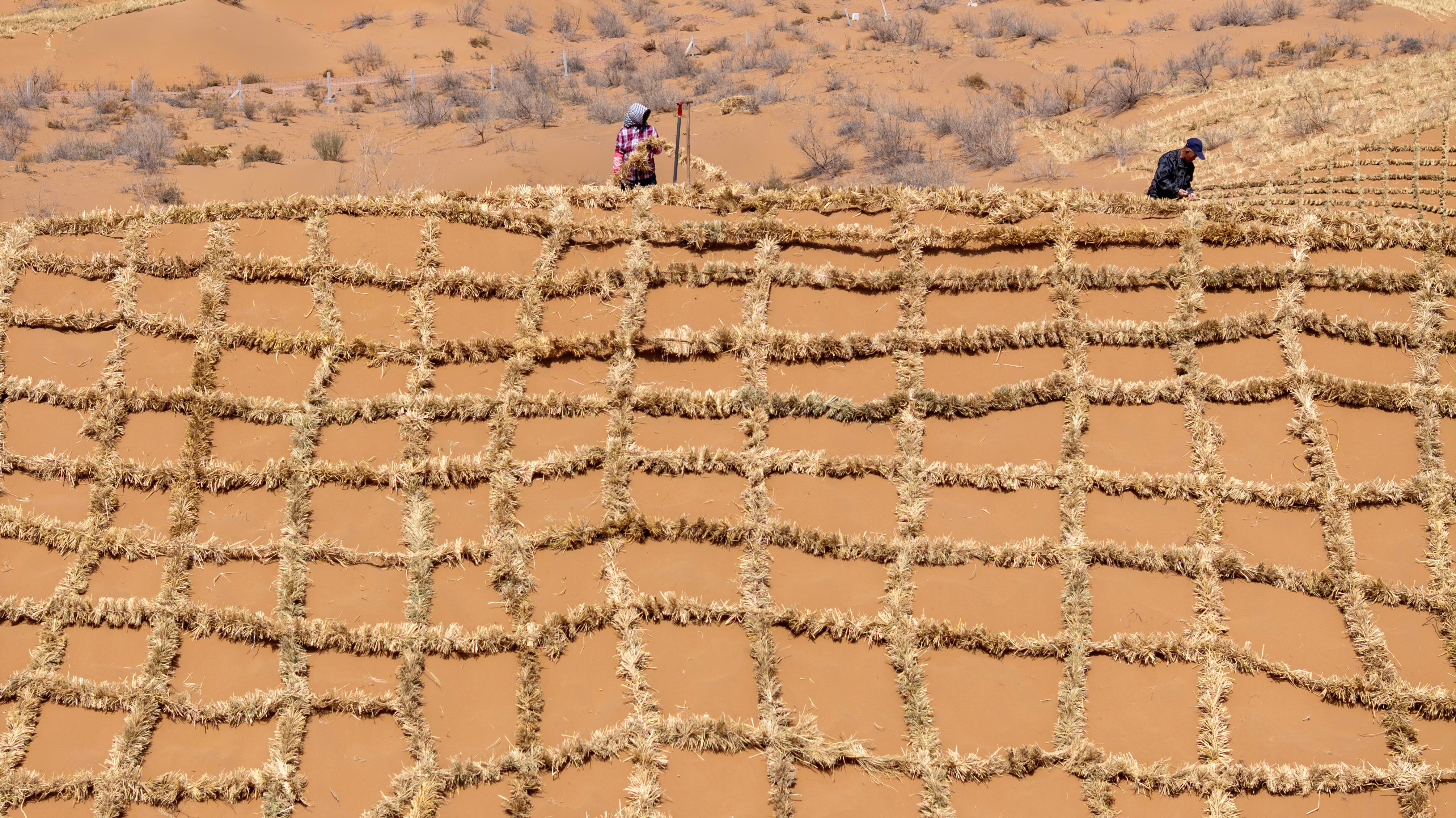 Two people are seeing working on a sand dune, placing lines of straw into a checkerboard pattern.