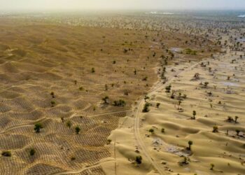 Photos: Fighting Against Desertification in China