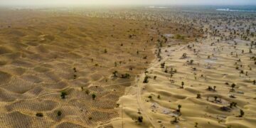 Photos: Fighting Against Desertification in China