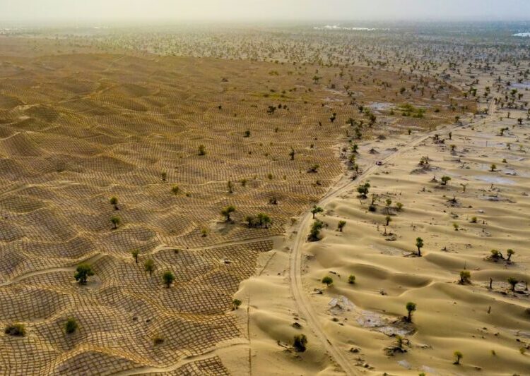 Photos: Fighting Against Desertification in China