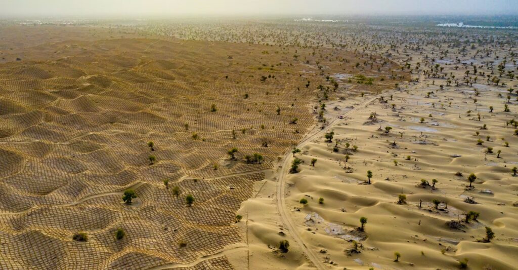 Photos: Fighting Against Desertification in China