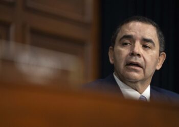 Democratic advisers are warning their candidates not to go too hard at AI