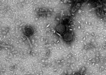 The Next Gene-Editing Technology May Also Be the Oldest