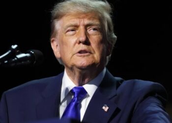 Trump just explained why an AI agency cannot work. He is right