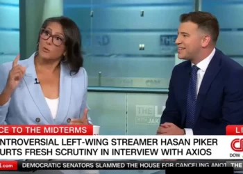 ‘Why are you yelling?’ GOP pundit catches operative off guard with meltdown over streamer
