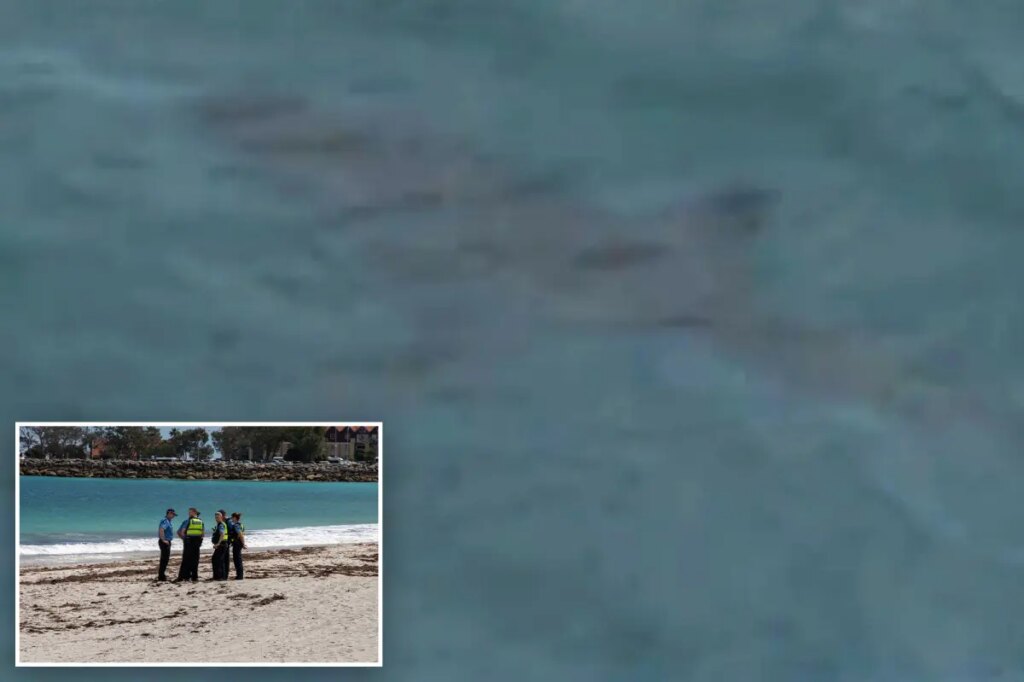 Shark kills swimmer in attack off Australian beach as witnesses recall seeing ‘pool of blood’