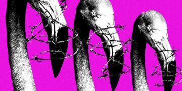 Meta’s Copyright System Is Being Weaponized Against Albanian Protesters