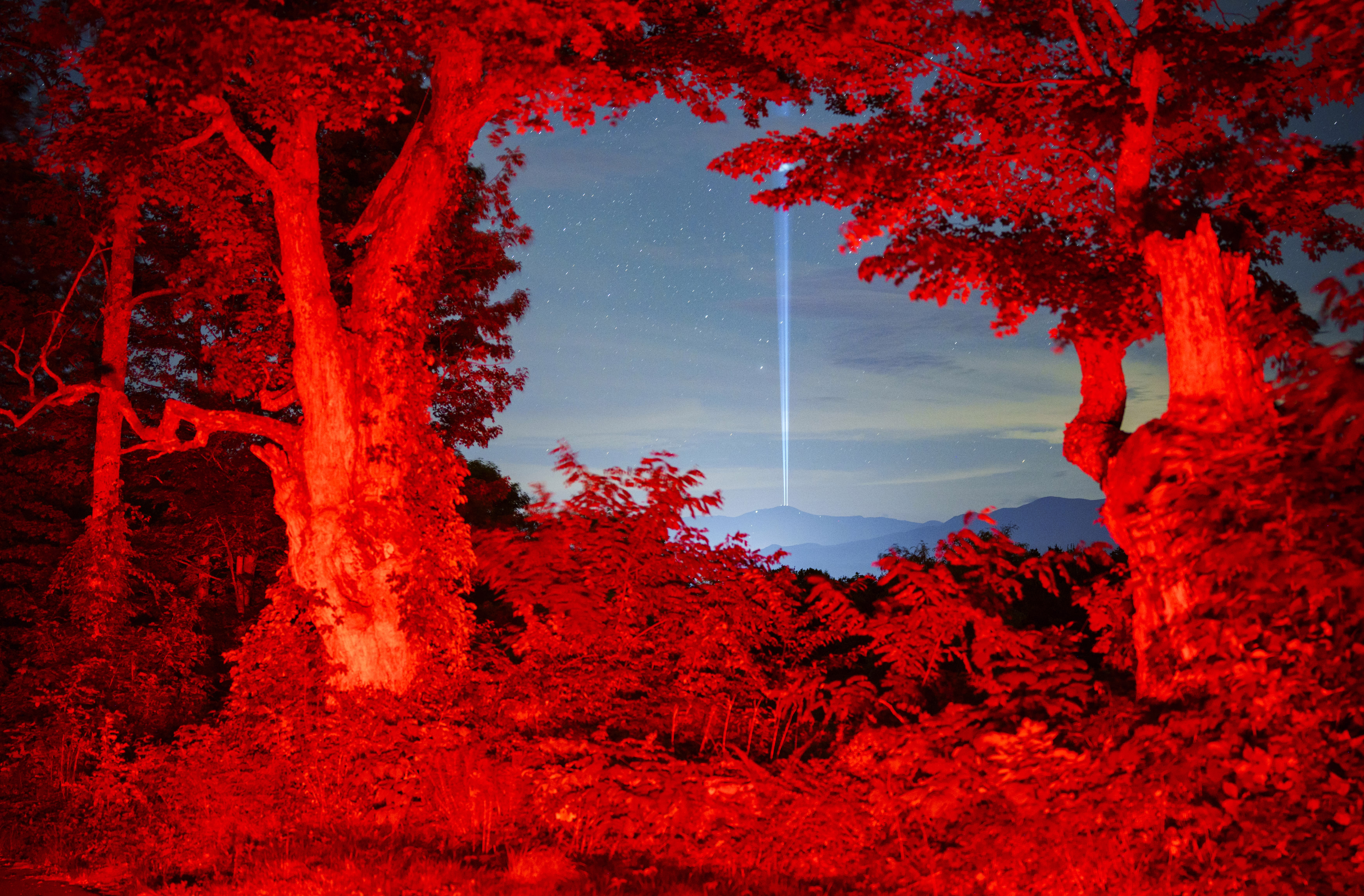 Two beams of light shine straight up from the top of a distant mountain, seen framed by trees that are lit by red light.
