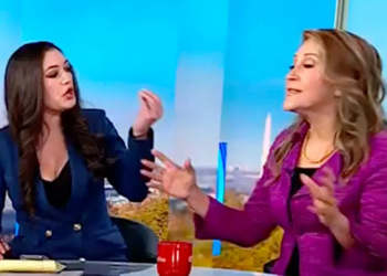 ‘You’re very agitated’: Careening conservative called out over CNN crash-out