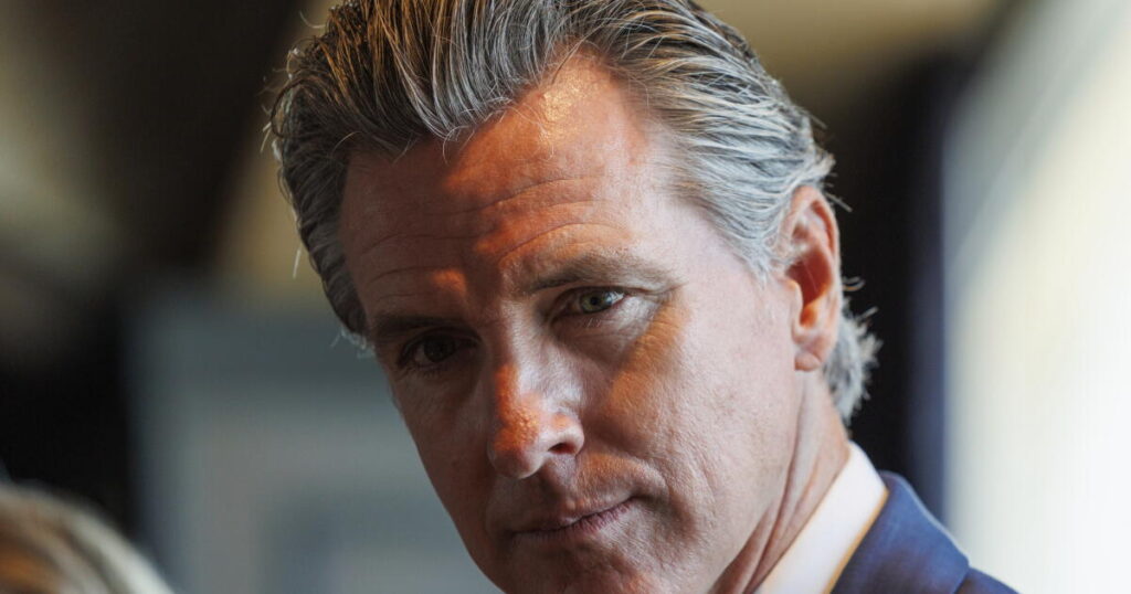 Newsom creates panel on AI safety regulation, suggests possible ‘kill switch’