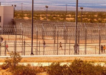 So Many Women Are Miscarrying in Detention Centers That ICE Has Lost Count