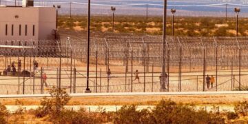 So Many Women Are Miscarrying in Detention Centers That ICE Has Lost Count