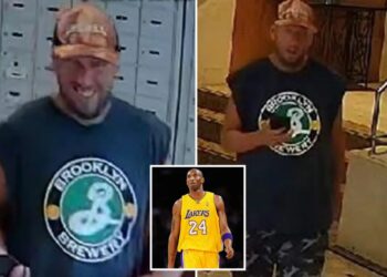 Grinning package thief swipes  $17k of sports cards from Brooklyn building: cops