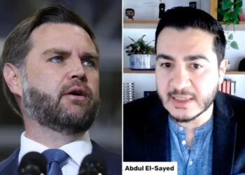Abdul El-Sayed claims JD Vance’s beard is fake after VP mocks ‘patchy’ Dem: ‘I’m all natural, bro’