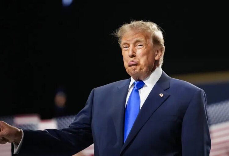 ‘It’s a dumb idea’: Republicans split from proposed ‘Trump dividend’ $5,000 plan if GOP wins midterms