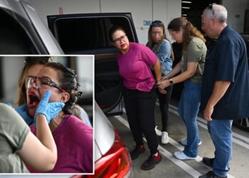 Illegal migrant faked US citizenship to work at militrary contractor for 30 years