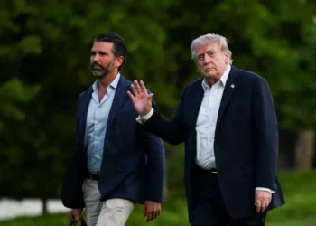Trump makes eye-opening admission about son’s wedding: ‘He didn’t do a background check’