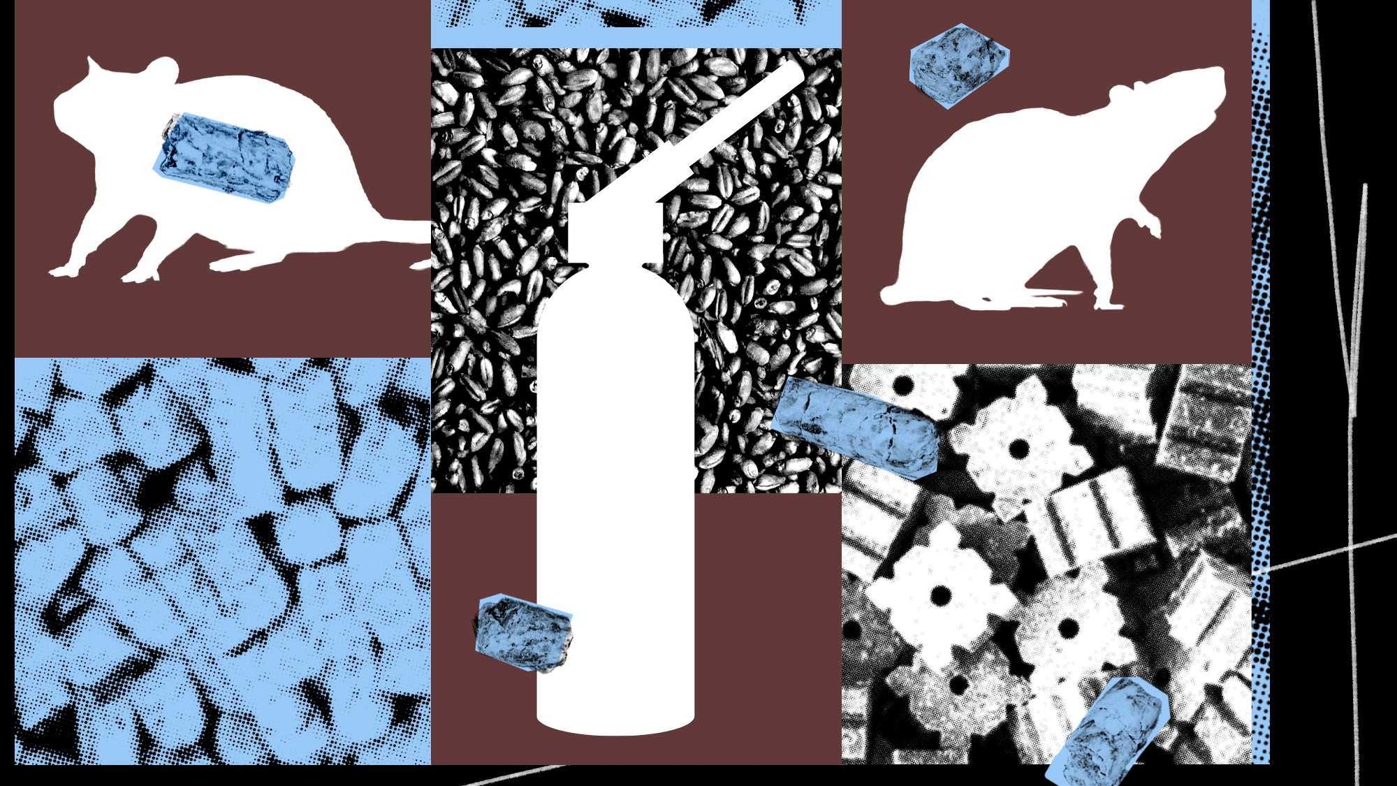 an illustration featuring rats and varoious pellets of