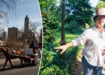 Carriage horse’s owners ready to sue Central Park over deadly yew poisoning
