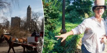 Carriage horse’s owners ready to sue Central Park over deadly yew poisoning