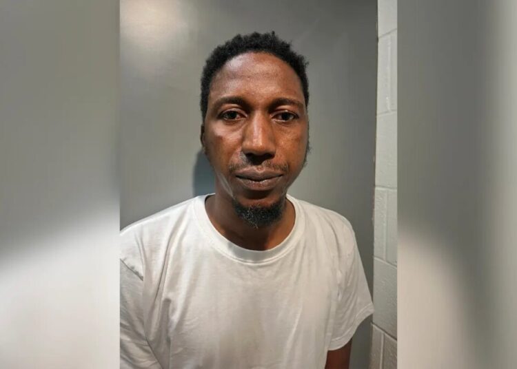 Illegal immigrant rideshare driver arrested in NYC sexual abuse case, charged with rape in Maryland