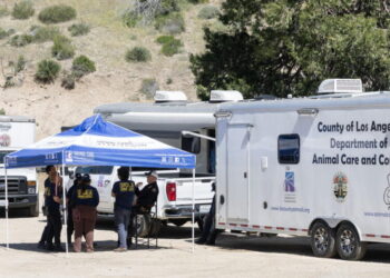 D.A. announces criminal charges against Lake Hughes animal rescuer